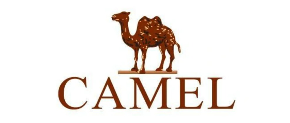 CAMEL骆驼