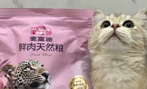 选择一款猫咪喜欢的猫粮有多难！