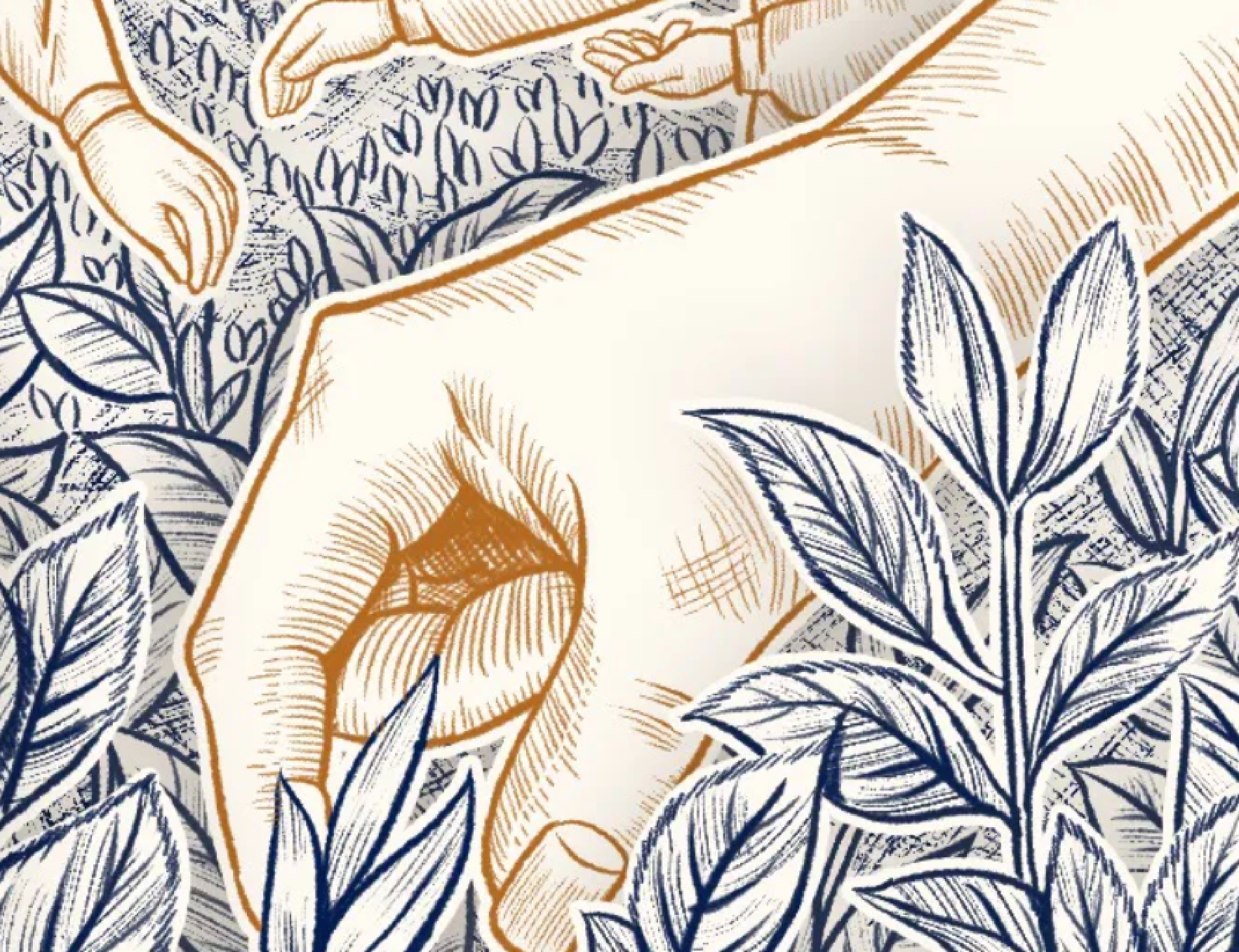 免费领霸王茶姬礼盒/免单券！