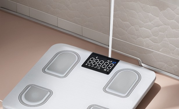 健身伴侣体脂秤，轻松掌握均衡管理